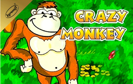 Crazy Monkey